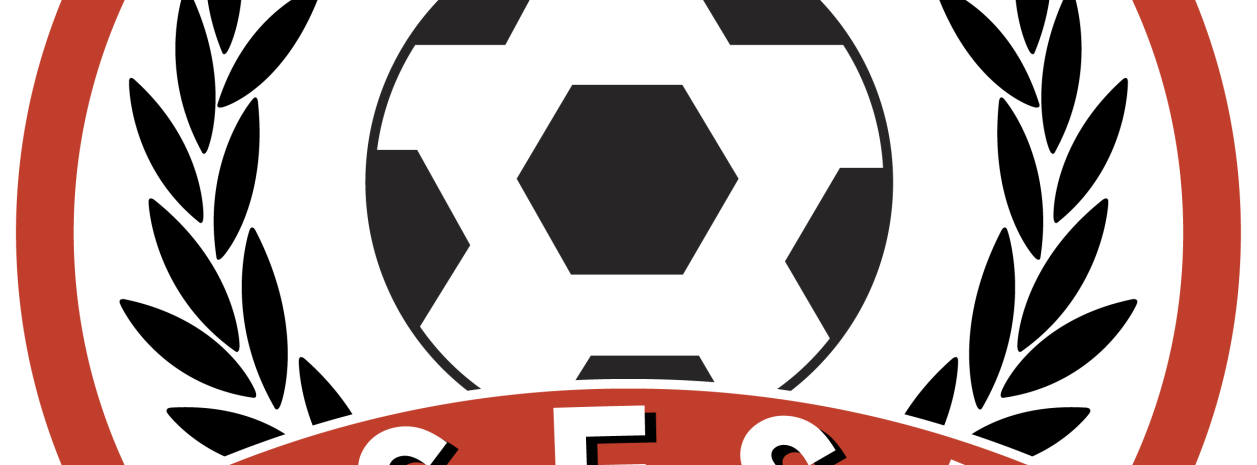 Logo du Football club ESESN